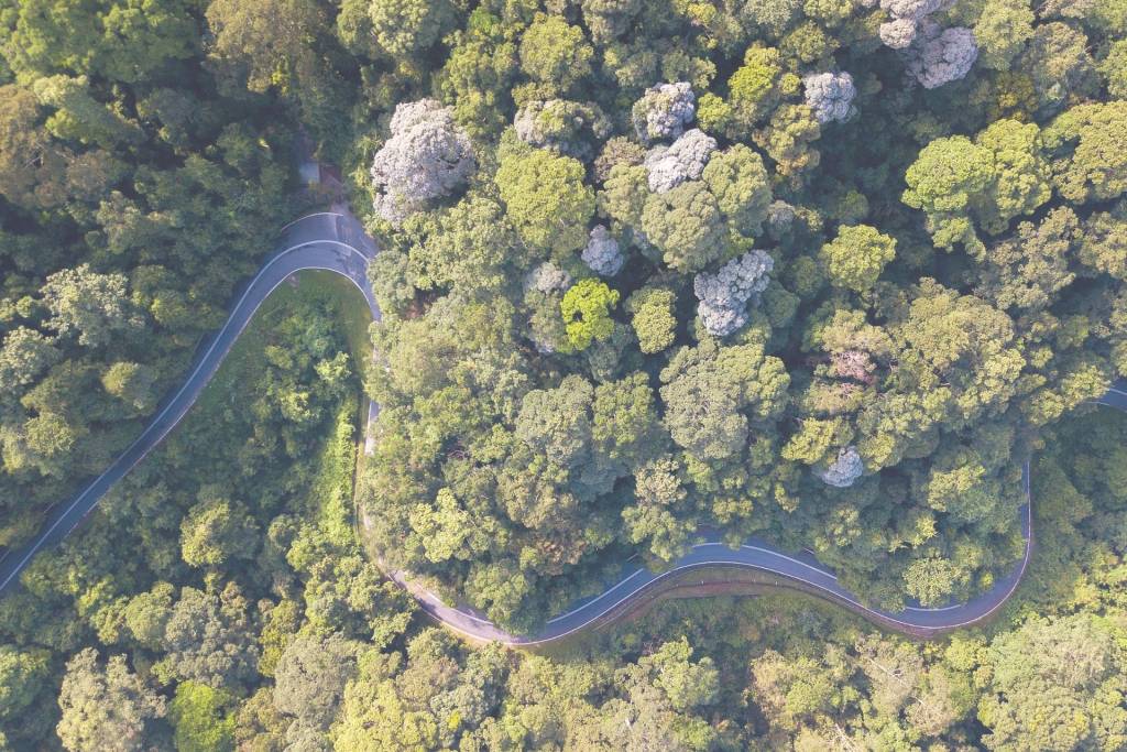 Solar Energy Transforming the Environment